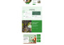 do wordpress customization, bug fixing and website design